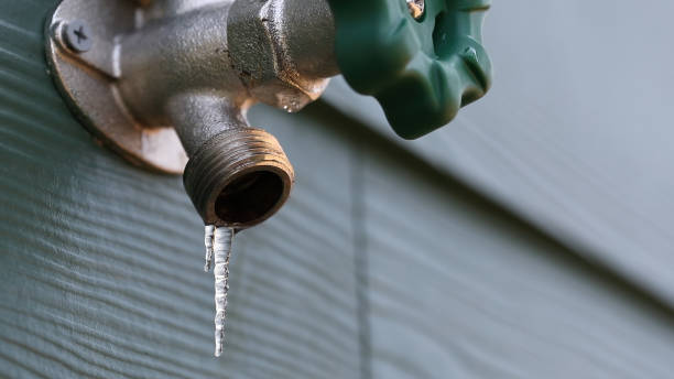 Best Sewer Line Repair  in Wheeler, TX